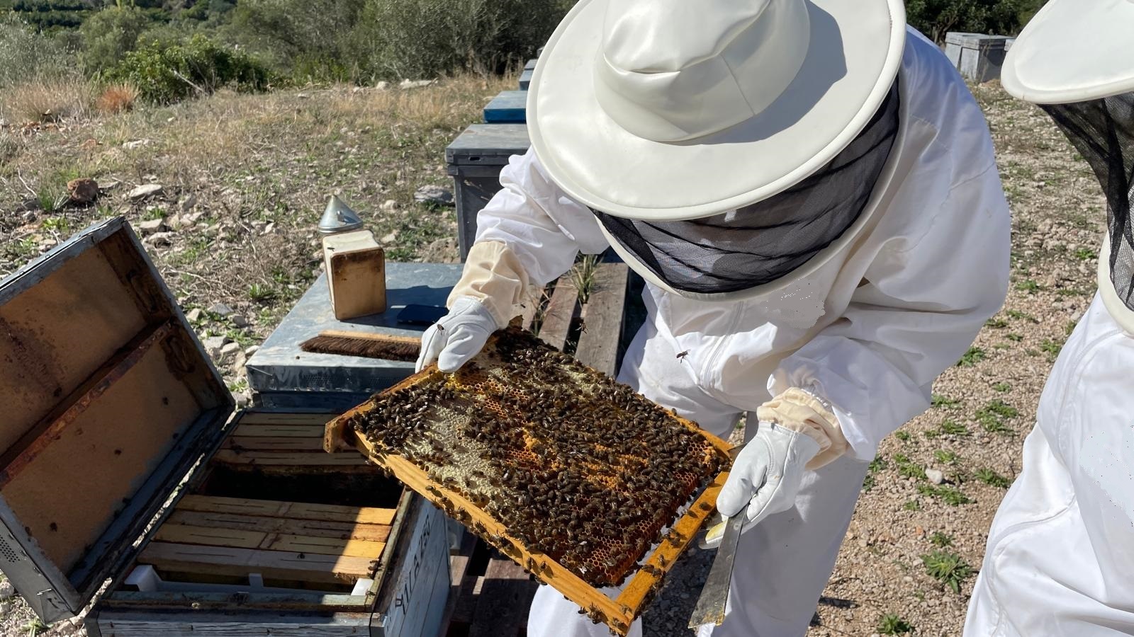 Top 5 Experiencias mediterráneas auténticas para Incentivos corporativos en Alicante - Costa Blanca - www.alicante-dmc.com