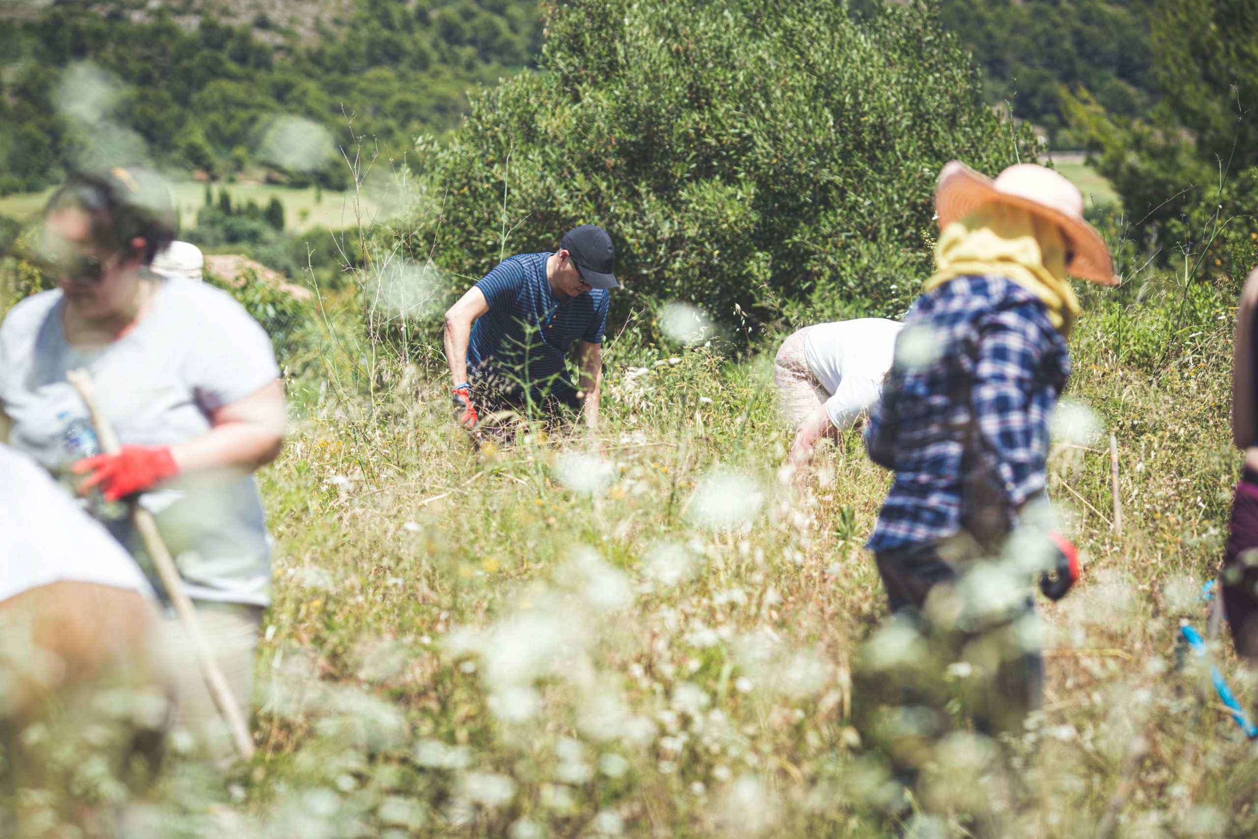 Costa Blanca DMC - Gruppe: Dein idealer Partner für MICE-Events in Alicante - Spanien 🚗💼Grupo Costa Blanca DMC: Tu socio ideal para eventos MICE en Alicante y la Costa Blanca - www.alicante-dmc.com