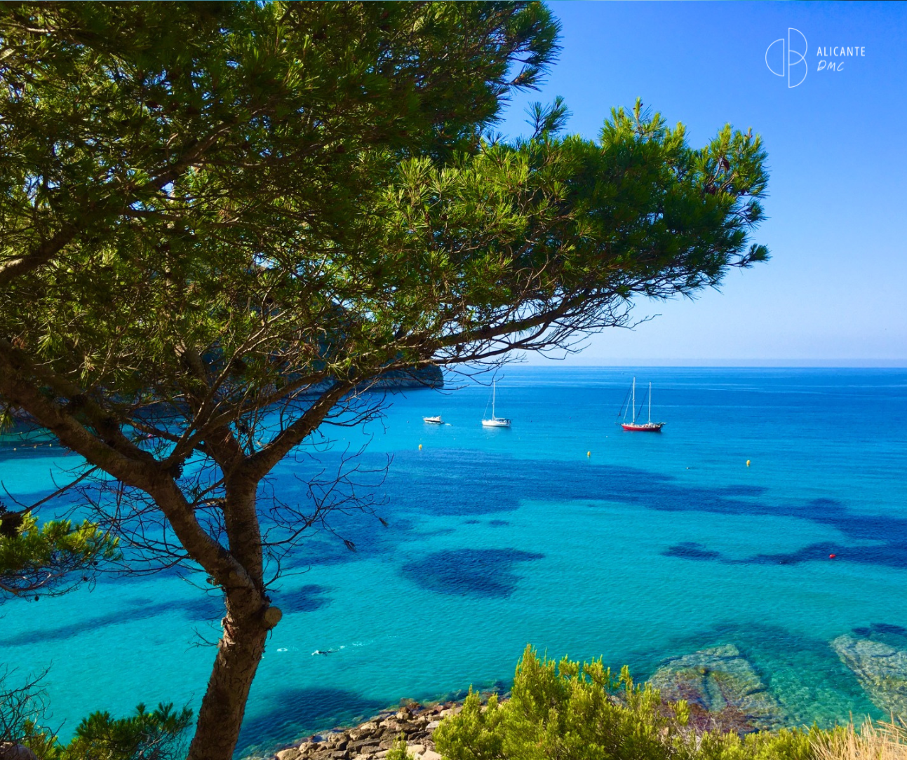 The Global Business Travel Market will continue to grow in 2026: What does this mean for Alicante-Costa Blanca? ✈️ www.alicante-dmc.com