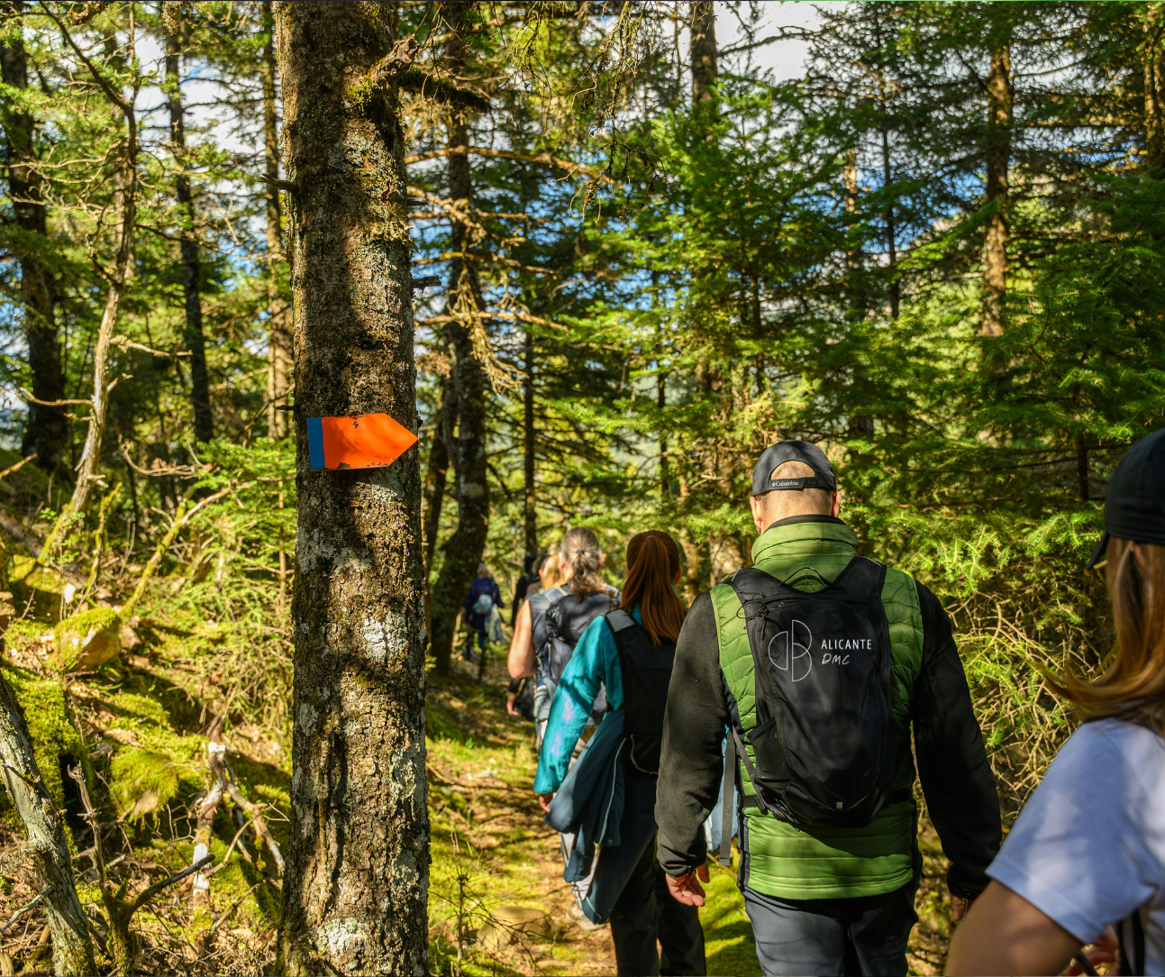 Outdoor Activities for Corporate Events in Alicante: 3 Hiking Routes 🥾 www.alicante-dmc.com
